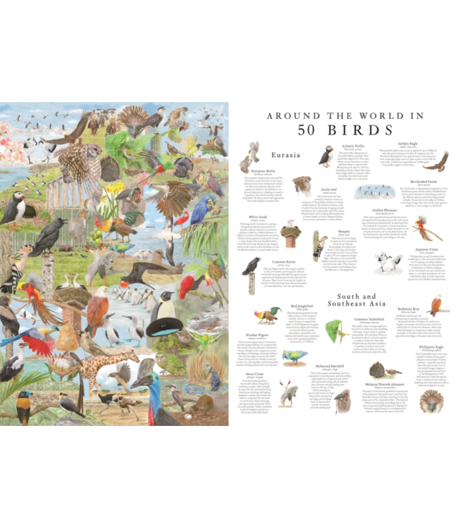 Around the World in 50 Birds