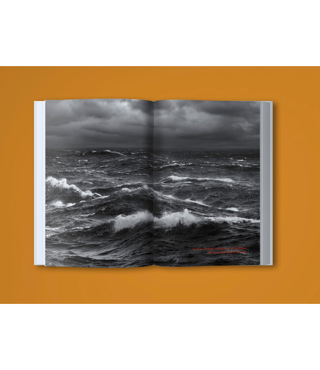 Society Driven Design