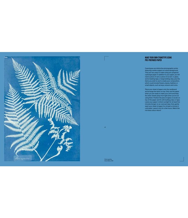 The Women Who Changed Photography