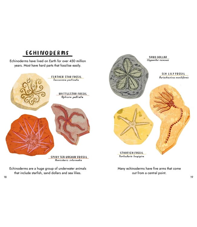 Little Guides to Nature: Hello Fossils and Shells