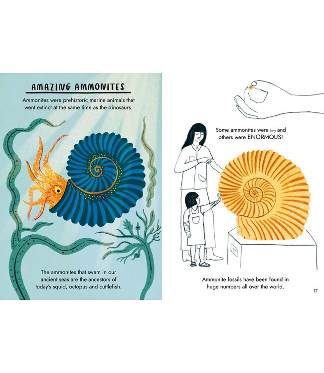 Little Guides to Nature: Hello Fossils and Shells