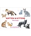 Katten & kittens memoryspel