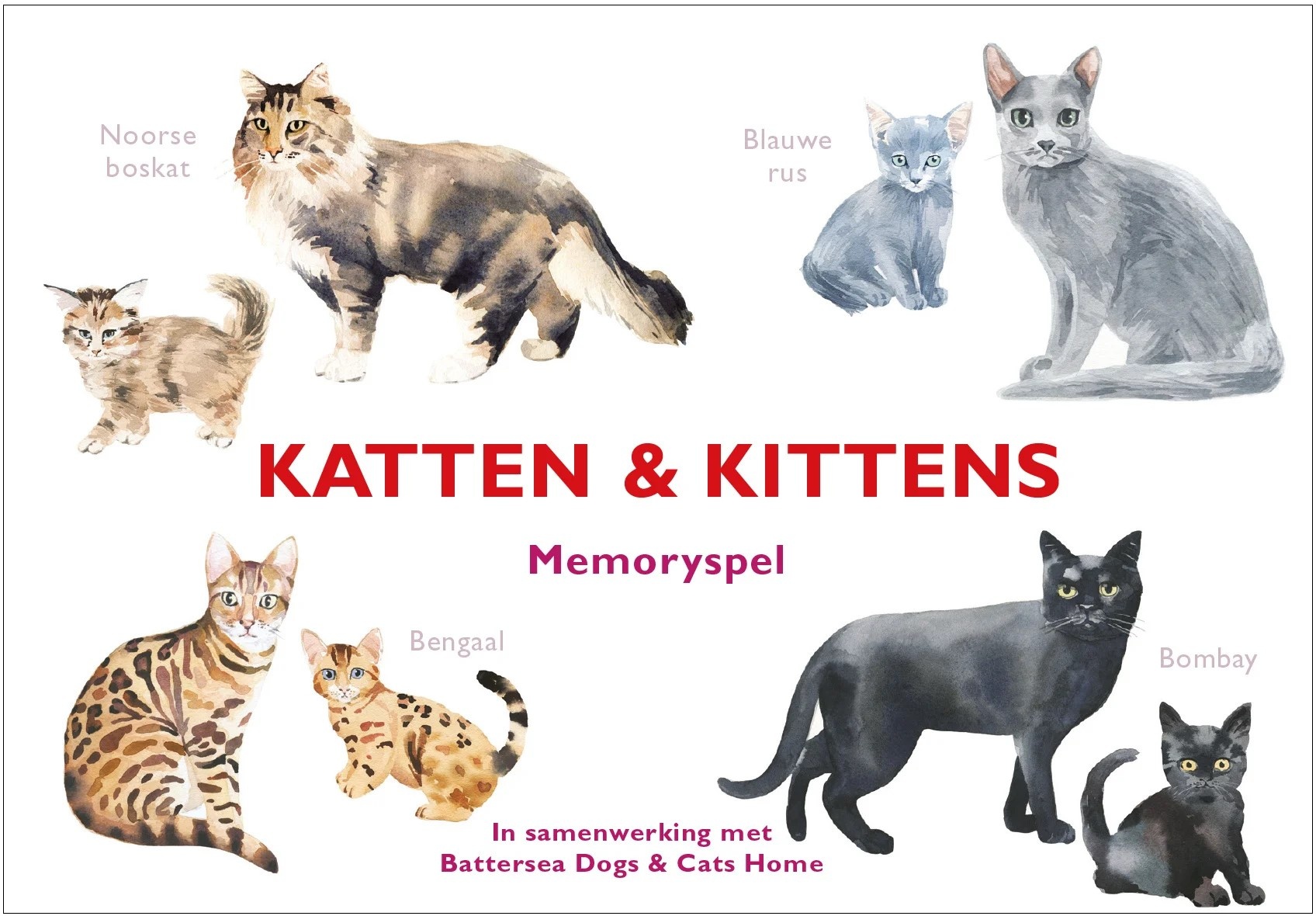 Katten & Kittens cover