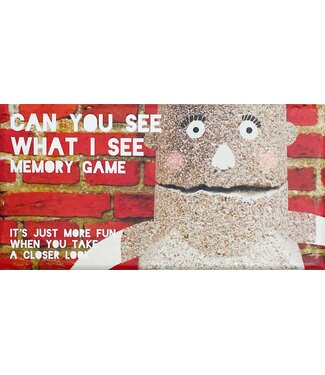 Can You See What I See Memory Game