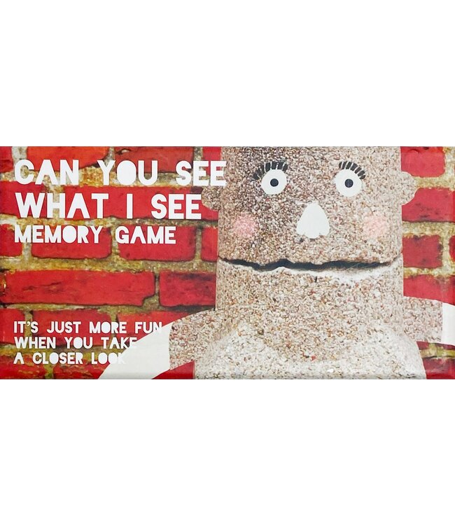 Can You See What I See Memory Game