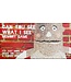 Can You See What I See Memory Game
