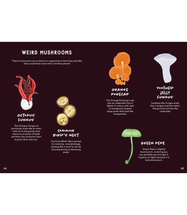 All About Mushrooms