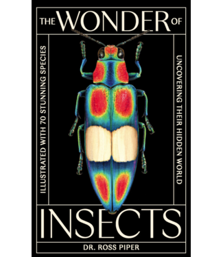 The Wonder of Insects: Uncovering their Hidden World
