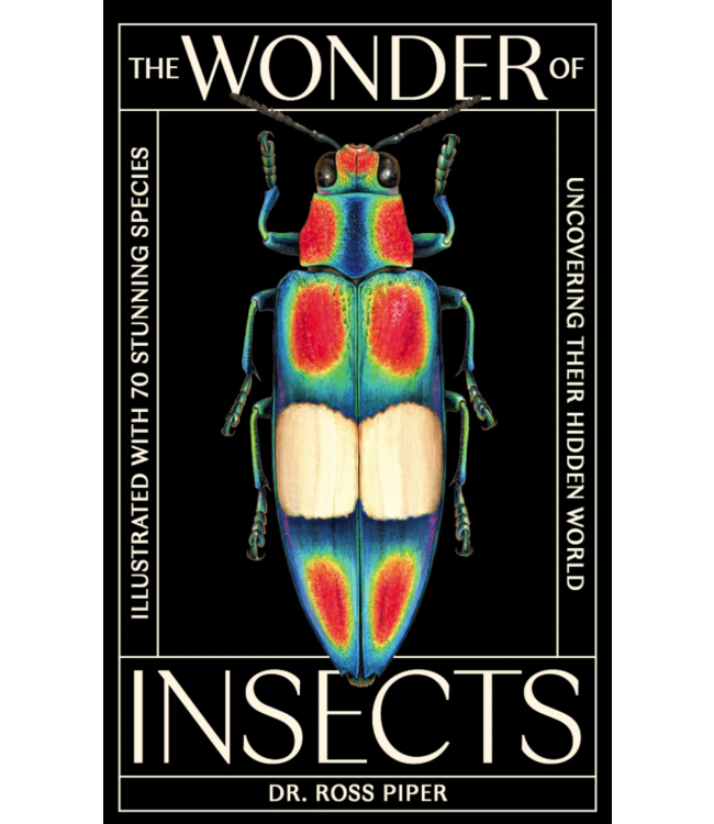 The Wonder of Insects: Uncovering their Hidden World