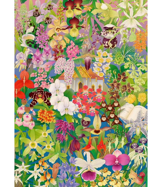 Around the World in 50 Orchids