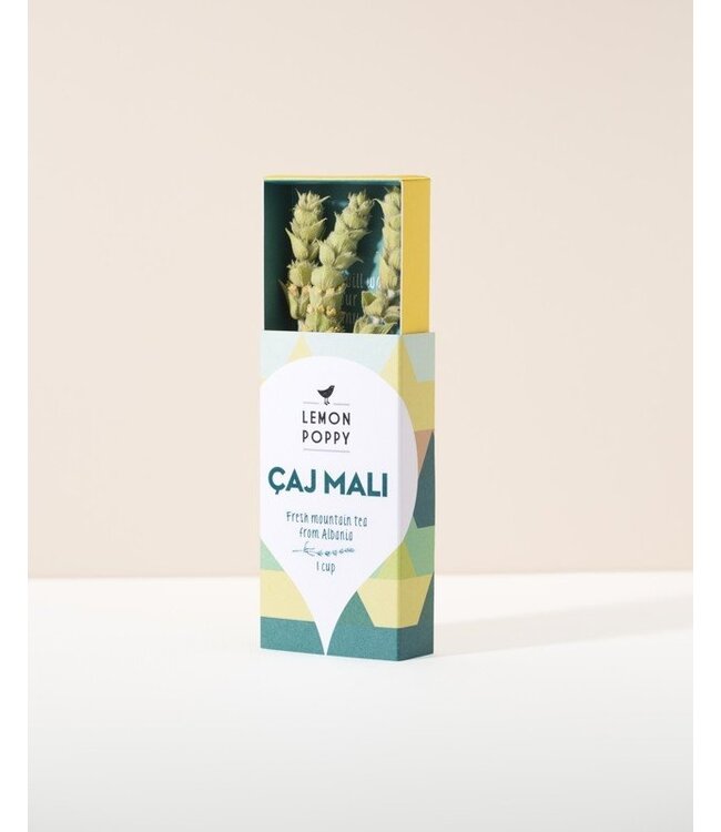 Feminist Oracles (Mini Deck)