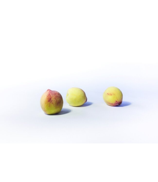 Creative Personal Branding