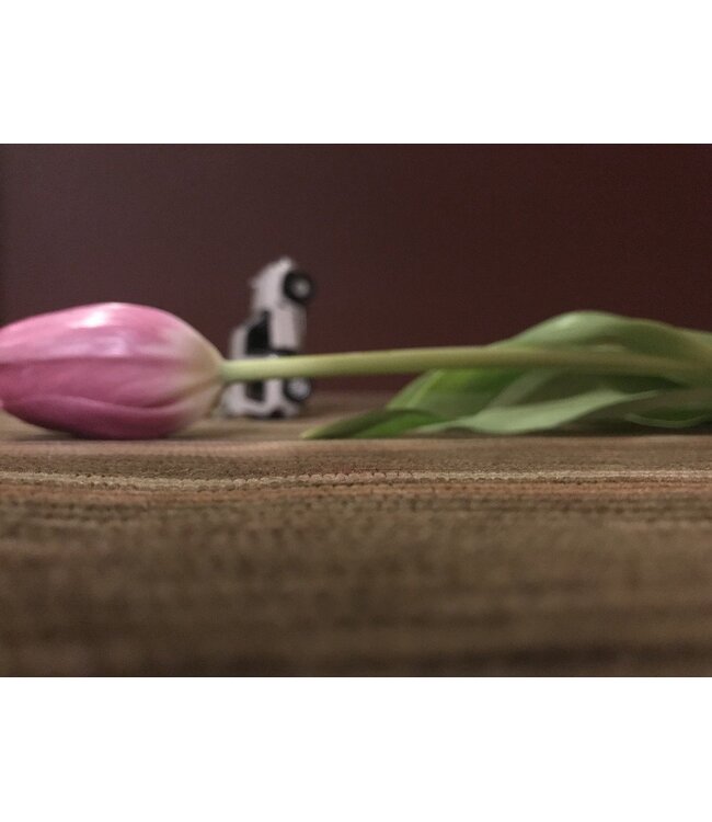 The Edible Flower