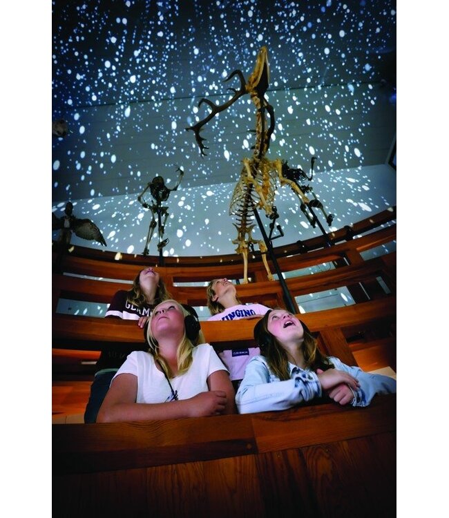 Worlds Of Wonder