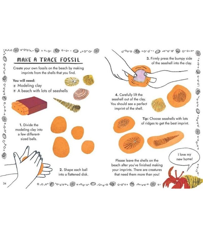 Little Guides to Nature: Hello Fossils and Shells
