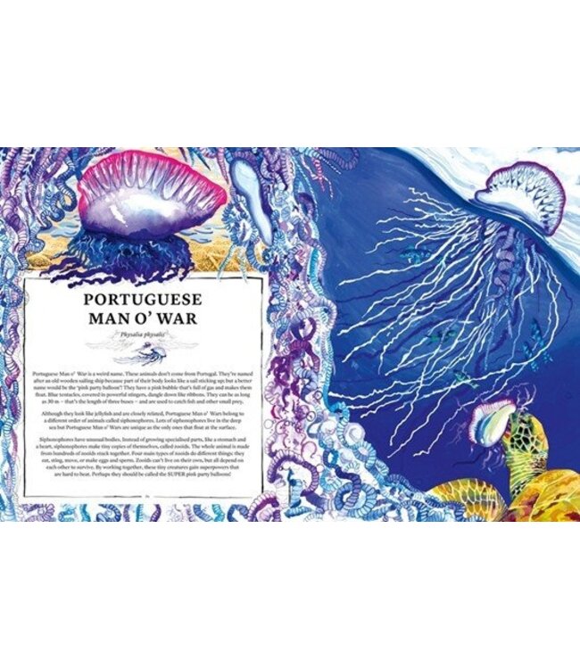 Oceanopedia