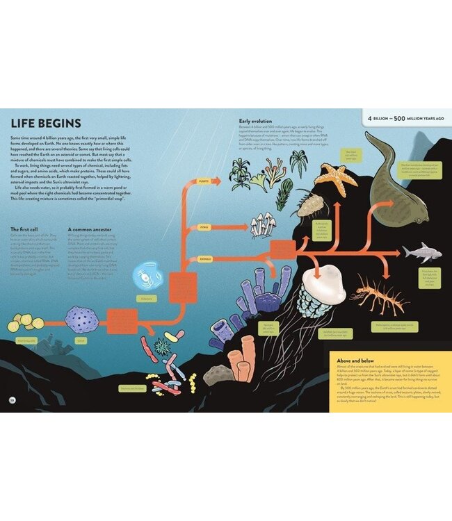 The History of Everything in 32 Pages