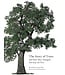 The Story of Trees