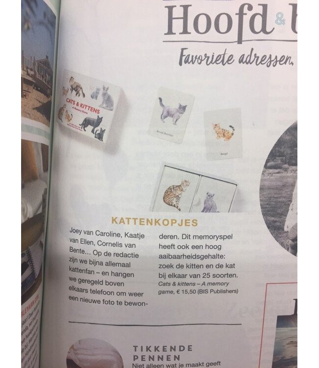 Cats & Kittens