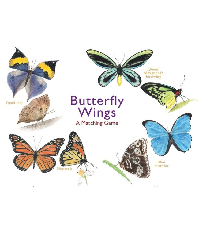 Butterfly Wings