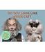 Do You Look Like Your Cat?