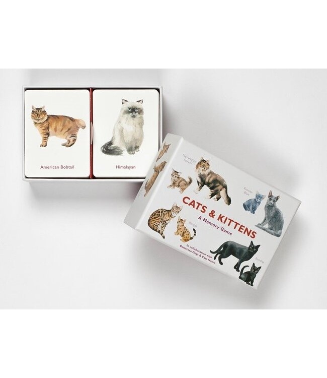 Cats & Kittens