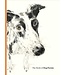 The Book of Dog Poems
