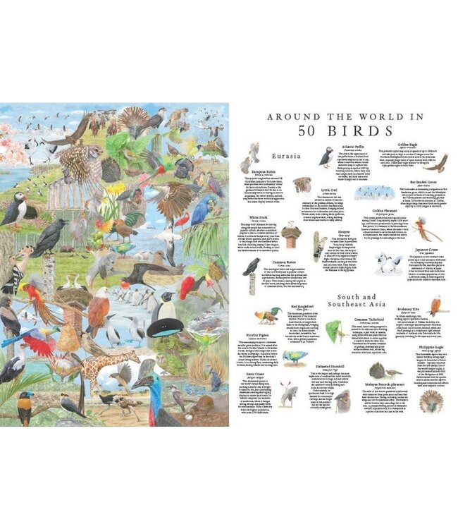 Around the World in 50 Birds