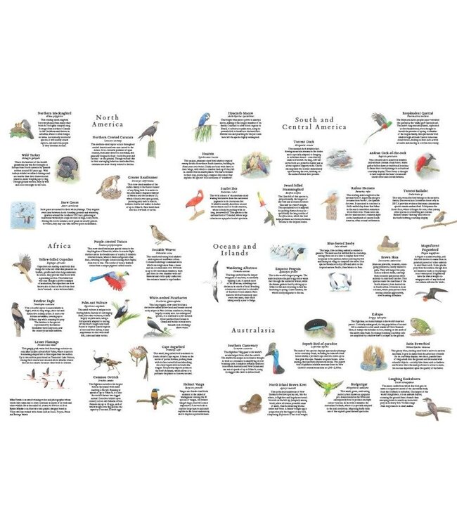 Around the World in 50 Birds