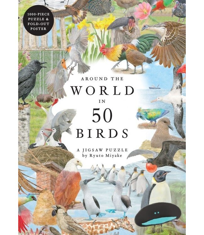 Around the World in 50 Birds