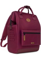 Cabaia Cabaia Adventurer Large school rugzak 15" laptopvak - Nice