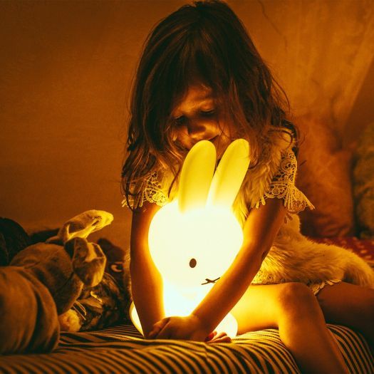 Deze lamp zal jouw kleintje zeker leuk vinden!