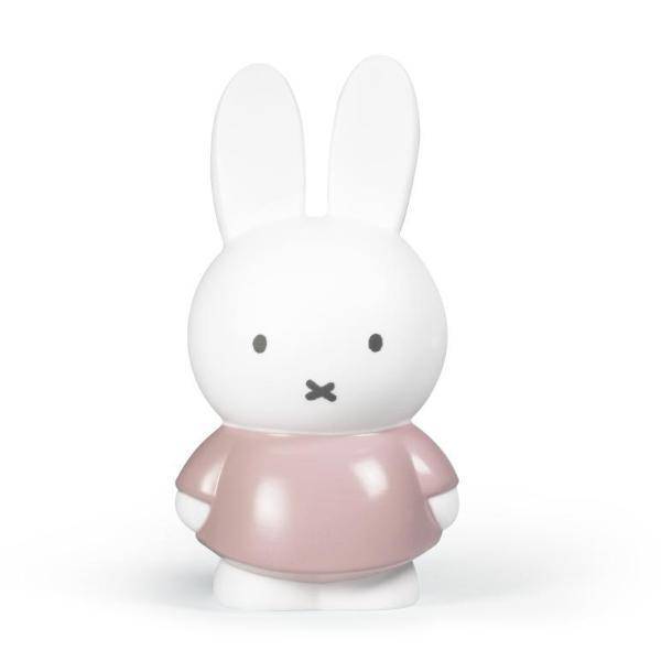 Sparen, je kan nog niet vroeg genoeg beginnen! Sparen, je kan nog niet vroeg genoeg beginnen!