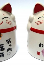 Tokyo Design Studio Blue cat mug