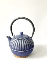 Light blue cast iron teapot