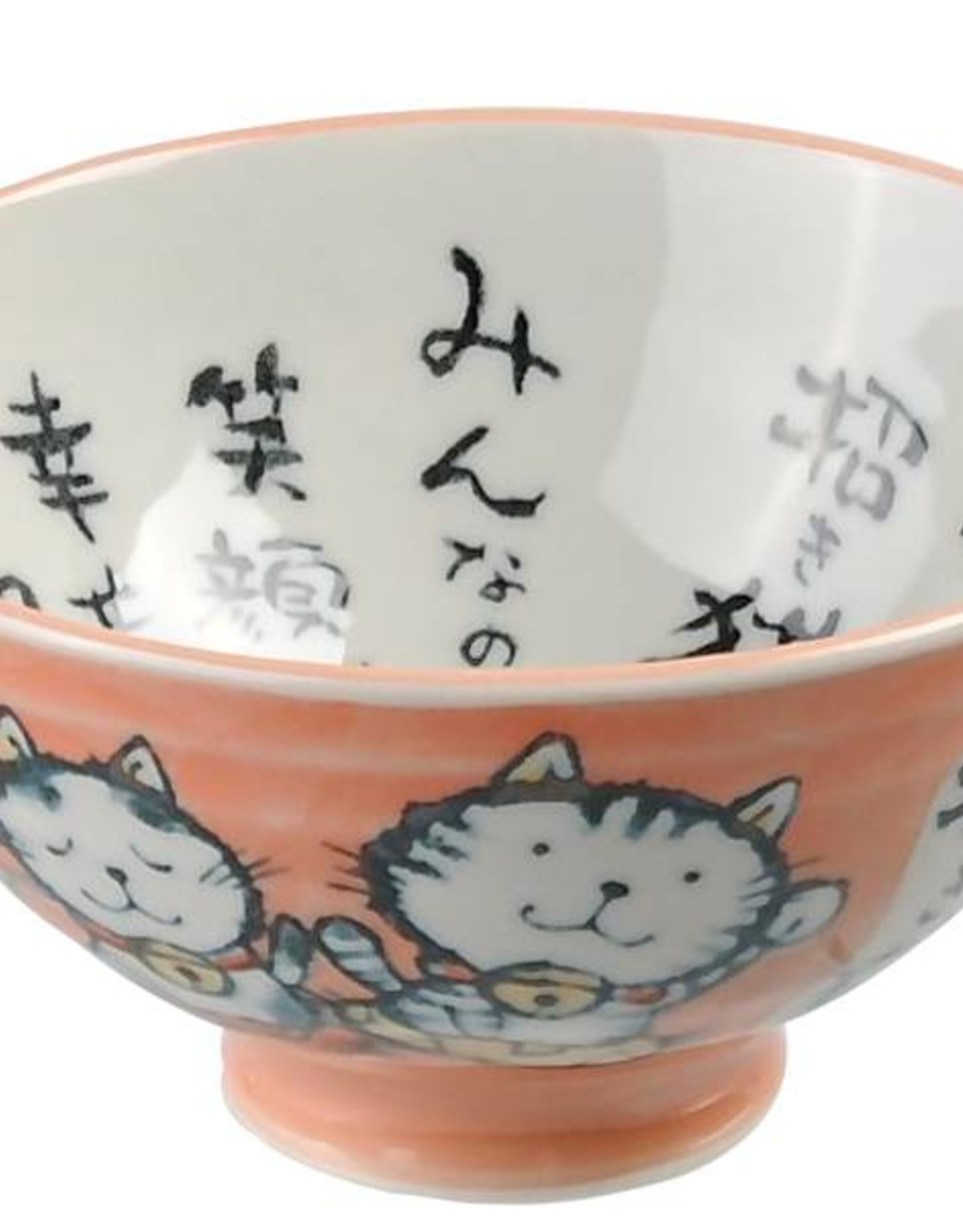Tokyo Design Studio Bowl with orange kitten