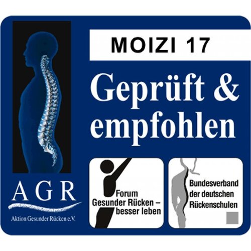 Moizi Schreibtisch Moizi 17