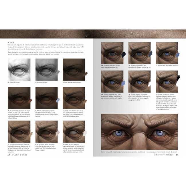 AK interactive Flesh & Skin - AK Learning Series nr 6 - 86pag - AK241