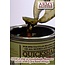 The Army Painter Quickshade Dark Tone - QS1003