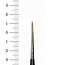 Raphael 8404 1 Kolinsky Sable brush