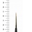 Raphael 8404 2/0 Kolinsky Sable brush