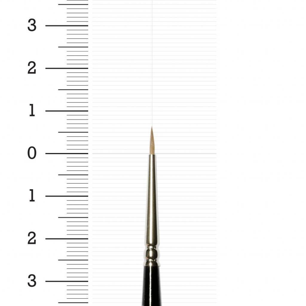 https://cdn.webshopapp.com/shops/7221/files/256772312/file.jpg