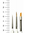 The Army Painter Most Wanted Brush Set - TL5043