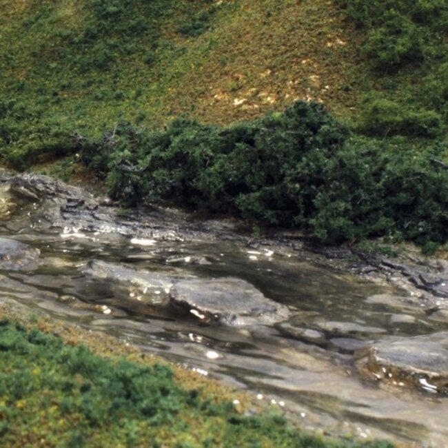 Woodland Scenics Rock Mold Creek Bed - WLS-C1246