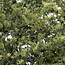 Woodland Scenics Fine Leaf Foliage Olive Green - 1,22dm³ - WLS-F1133