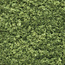 Woodland Scenics Foliage Light Green - 464cmÂ² - WLS-F51