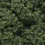 Woodland Scenics Foliage Clusters Medium Green - 832cm³ - WLS-FC58