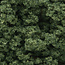 Woodland Scenics Clump Foliage Medium Green - 945cmÂ³ - WLS-FC683