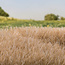 Woodland Scenics Woodland Scenics Static Grass Straw 7mm - 42gr - FS624