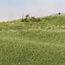 Woodland Scenics Static Grass Medium Green 2mm - 70gr - FS614